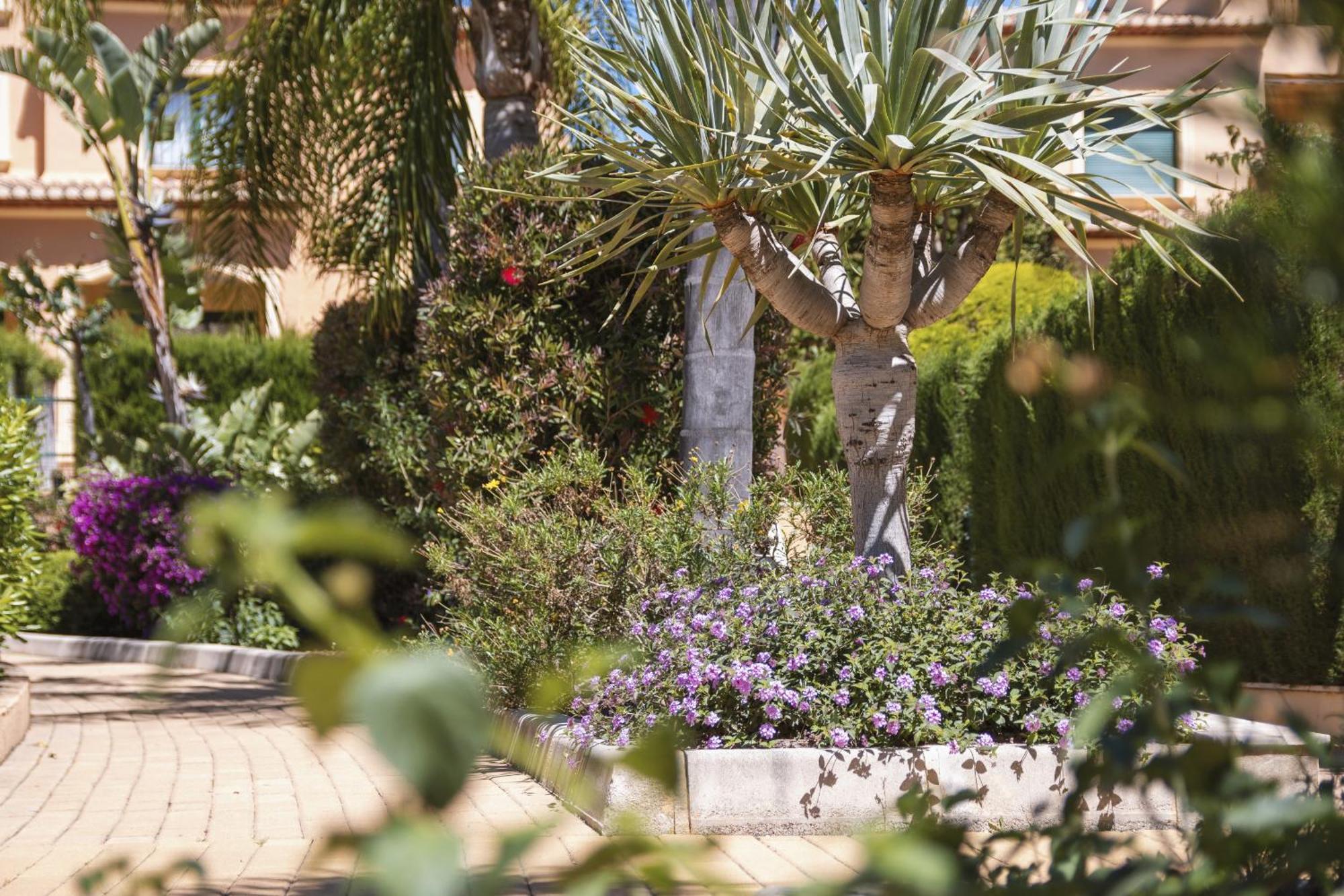 Apartmán Floridamar Jávea Exteriér fotografie
